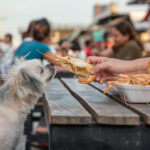 Featured image of Top 6 Dog-Friendly Restaurants in Estes Park