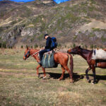 Featured Image of Horseback Riding in Rocky Mountain National Park