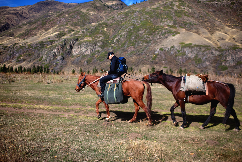 Horseback Riding in Rocky Mountain National Park